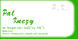 pal knezy business card